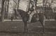 Bobbie te paard 1 Bobbie te paard 1